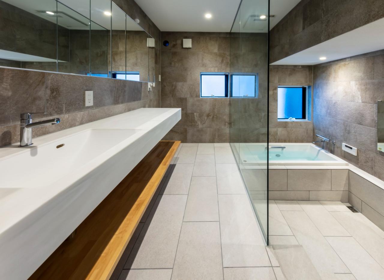 BIM建筑|错层悬挑结构，Shimouma住宅 / I.R.A.