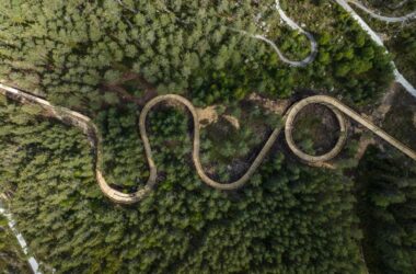 BIM建筑|树顶漫步，Hamaren 活动公园 / EFFEKT-BIM建筑网