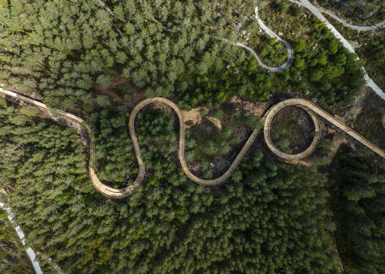 BIM建筑|树顶漫步，Hamaren 活动公园 / EFFEKT