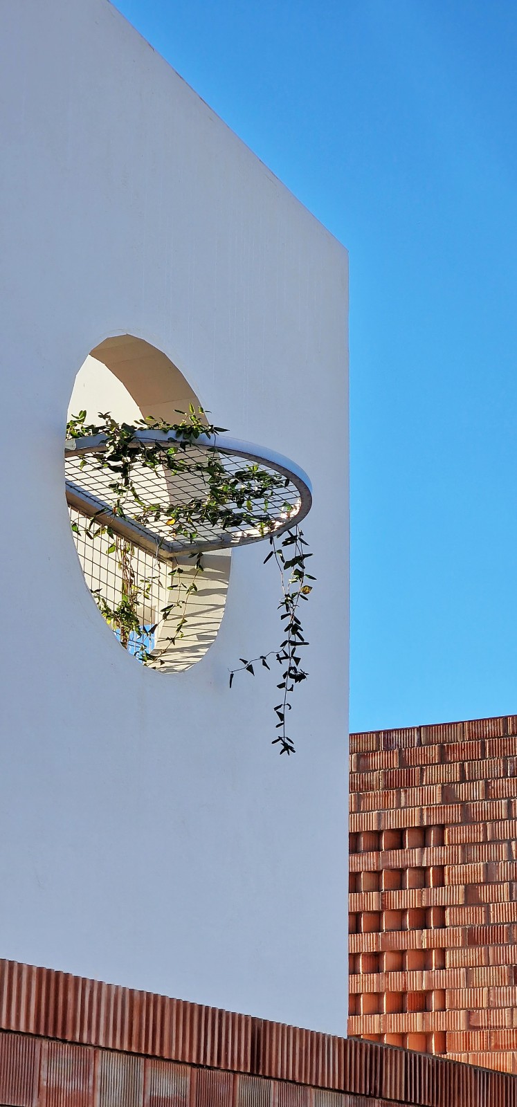 BIM建筑|自由之家 / GRAO