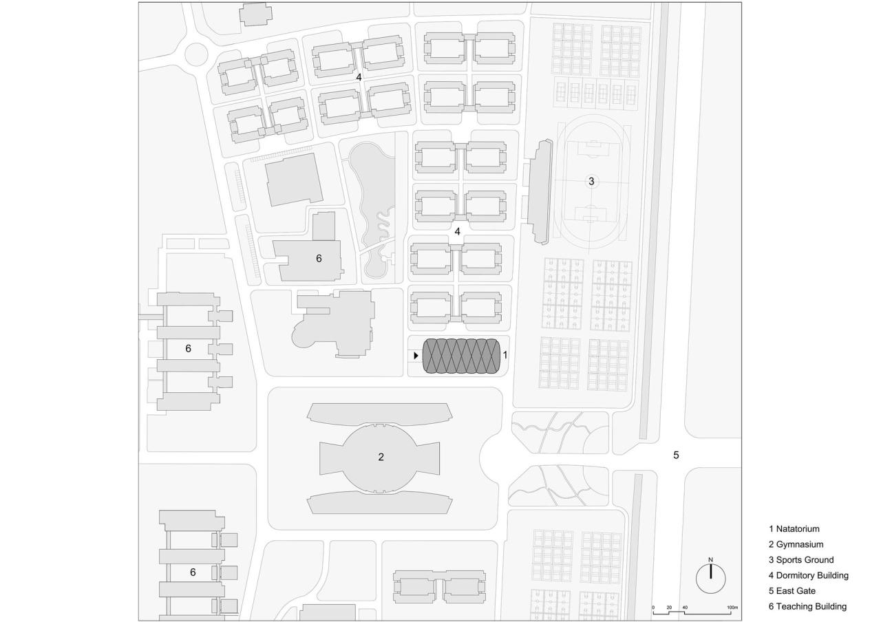 BIM建筑|东南大学游泳馆 / 周琦工作室