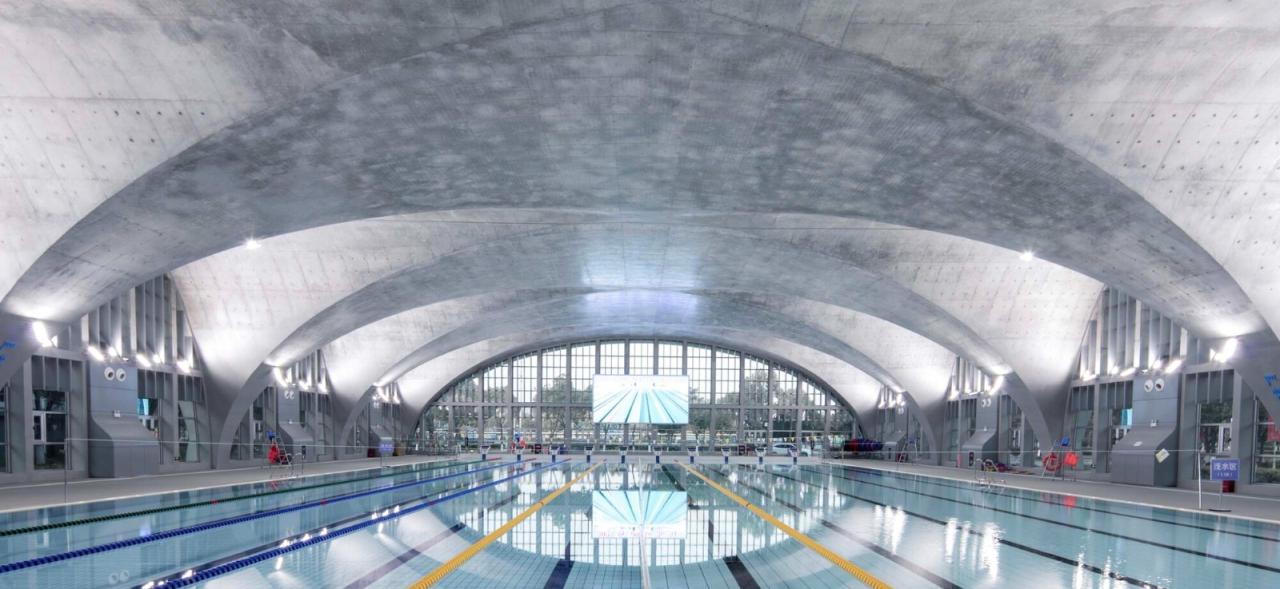 BIM建筑|东南大学游泳馆 / 周琦工作室