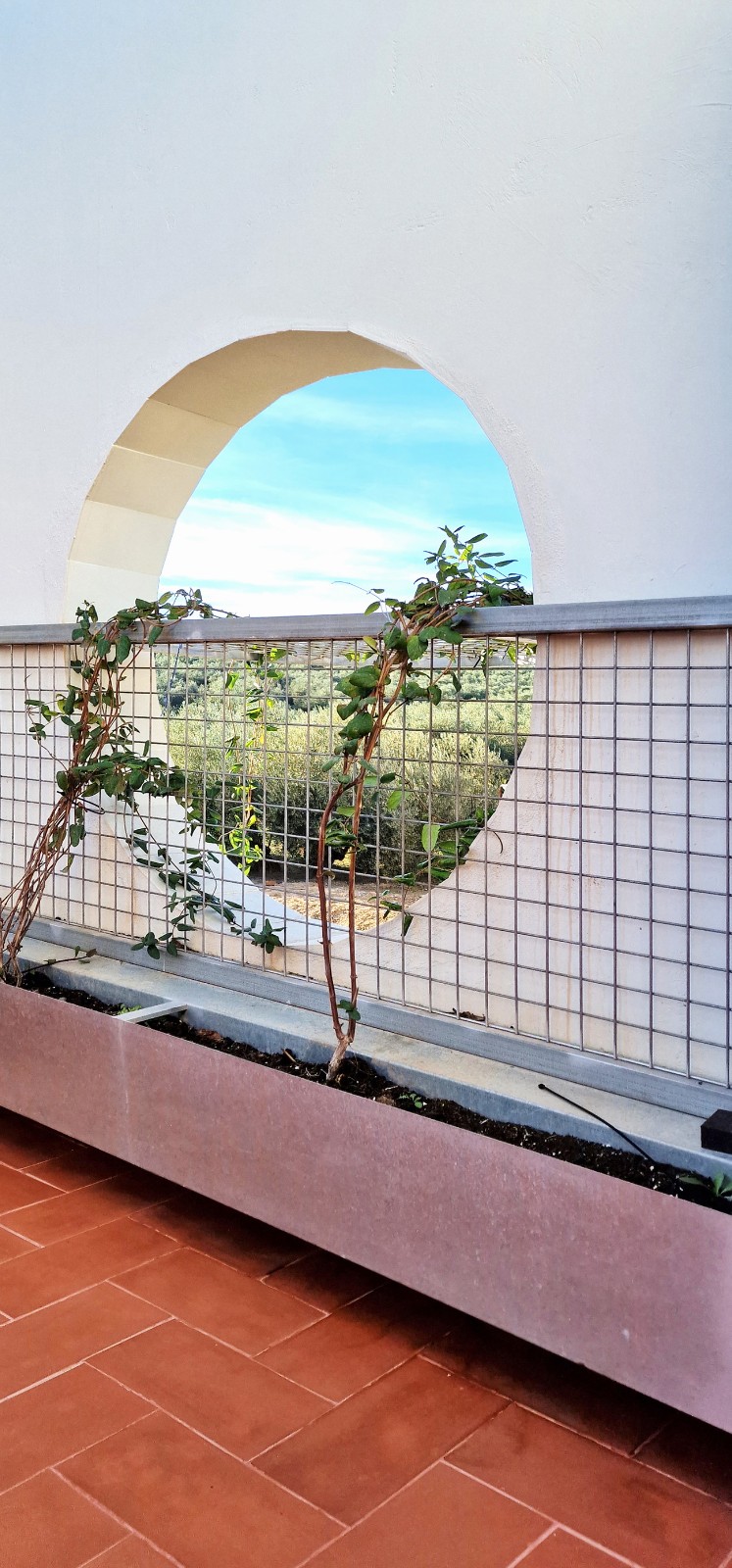 BIM建筑|自由之家 / GRAO