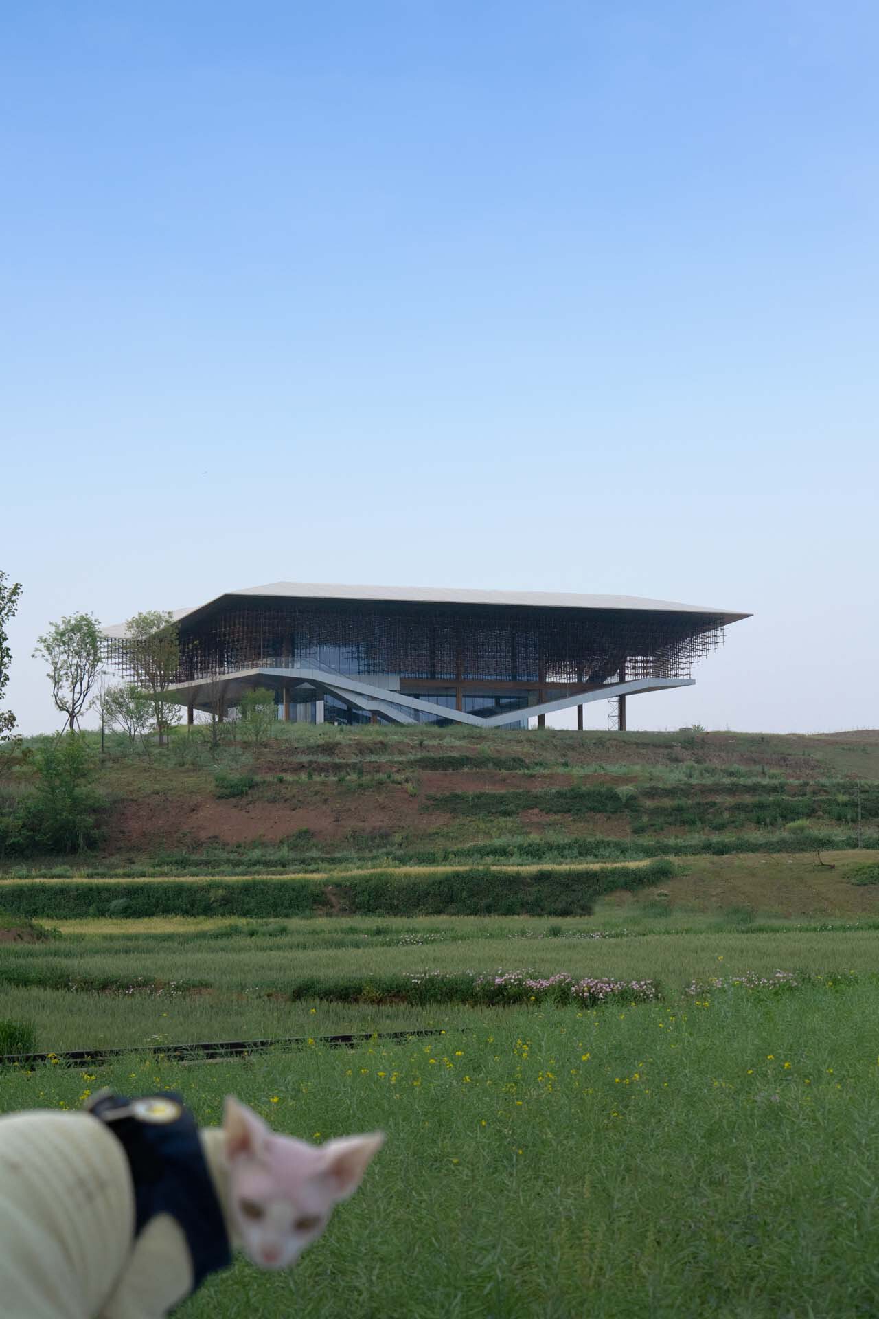 BIM建筑|天府文创城规划展示厅 / 安棣建筑设计