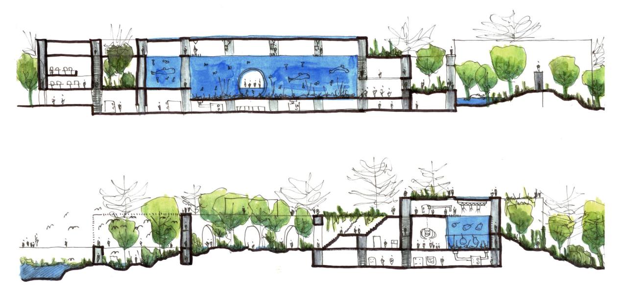 BIM建筑|科尔蒂斯海洋研究中心 / Tatiana Bilbao