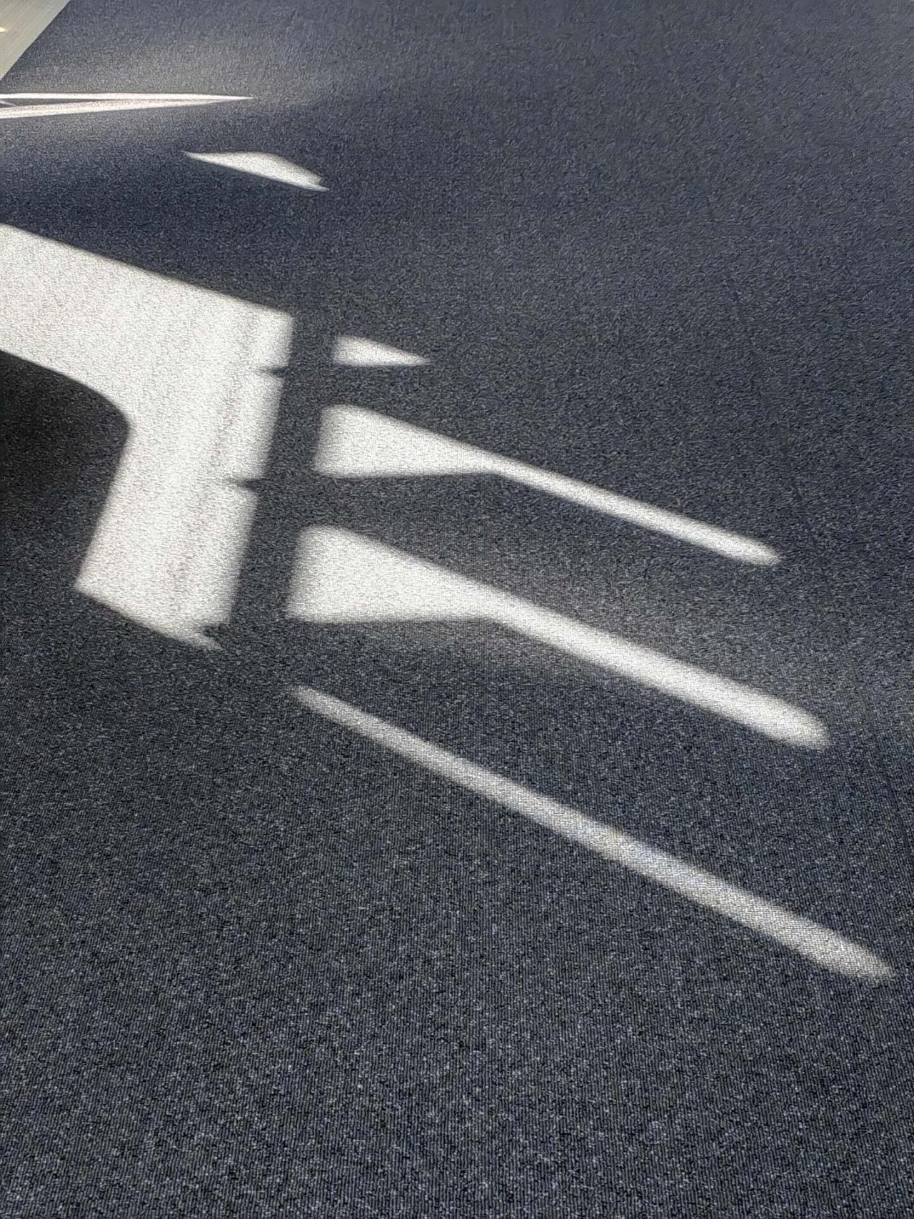 BIM建筑|东南大学游泳馆 / 周琦工作室