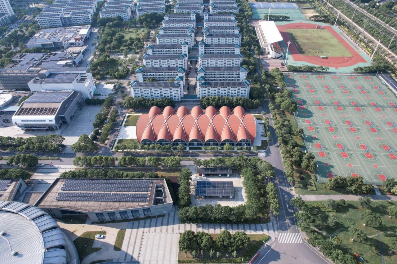 BIM建筑|东南大学游泳馆 / 周琦工作室