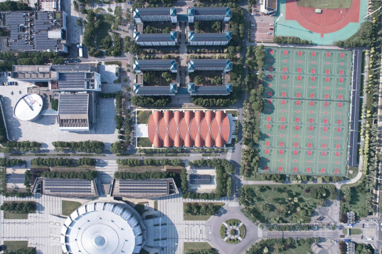 BIM建筑|东南大学游泳馆 / 周琦工作室