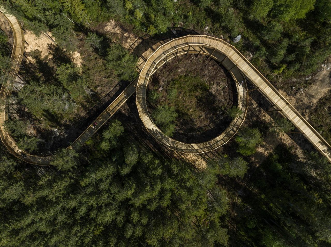 BIM建筑|树顶漫步，Hamaren 活动公园 / EFFEKT