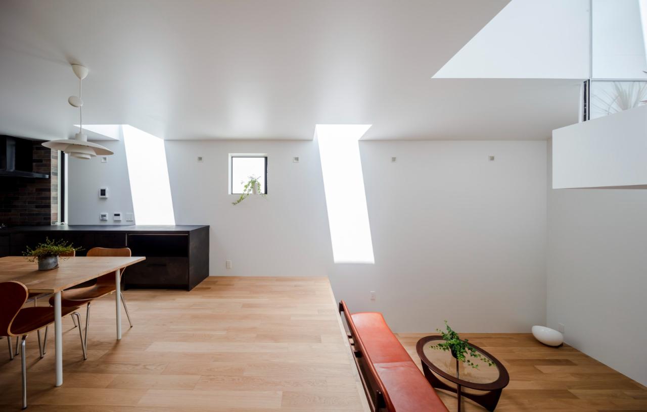 BIM建筑|错层悬挑结构，Shimouma住宅 / I.R.A.