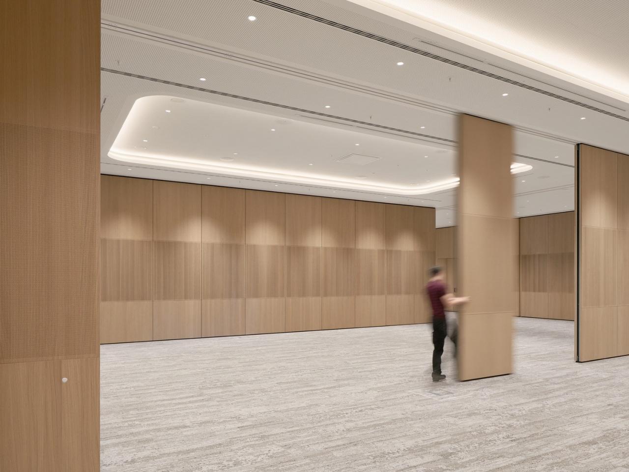 BIM建筑|德国汉堡会议中心改造 / Hupe Flatau Partner