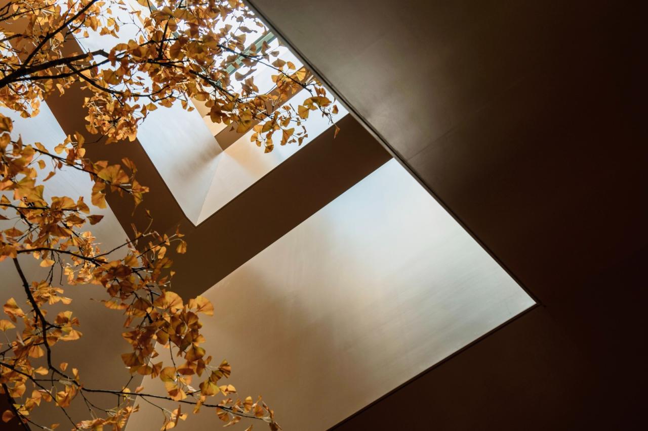 BIM建筑|光的中庭：泊心域社区邻里中心 / 孟凡浩-line+建筑事务所