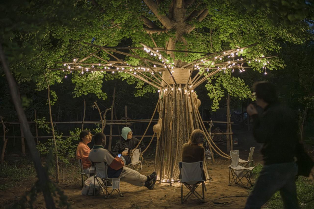 BIM建筑|拥抱可持续：竹装置 Tree of Life / UK Studio