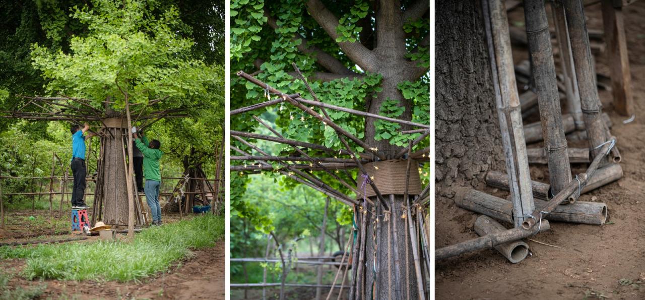 BIM建筑|拥抱可持续：竹装置 Tree of Life / UK Studio