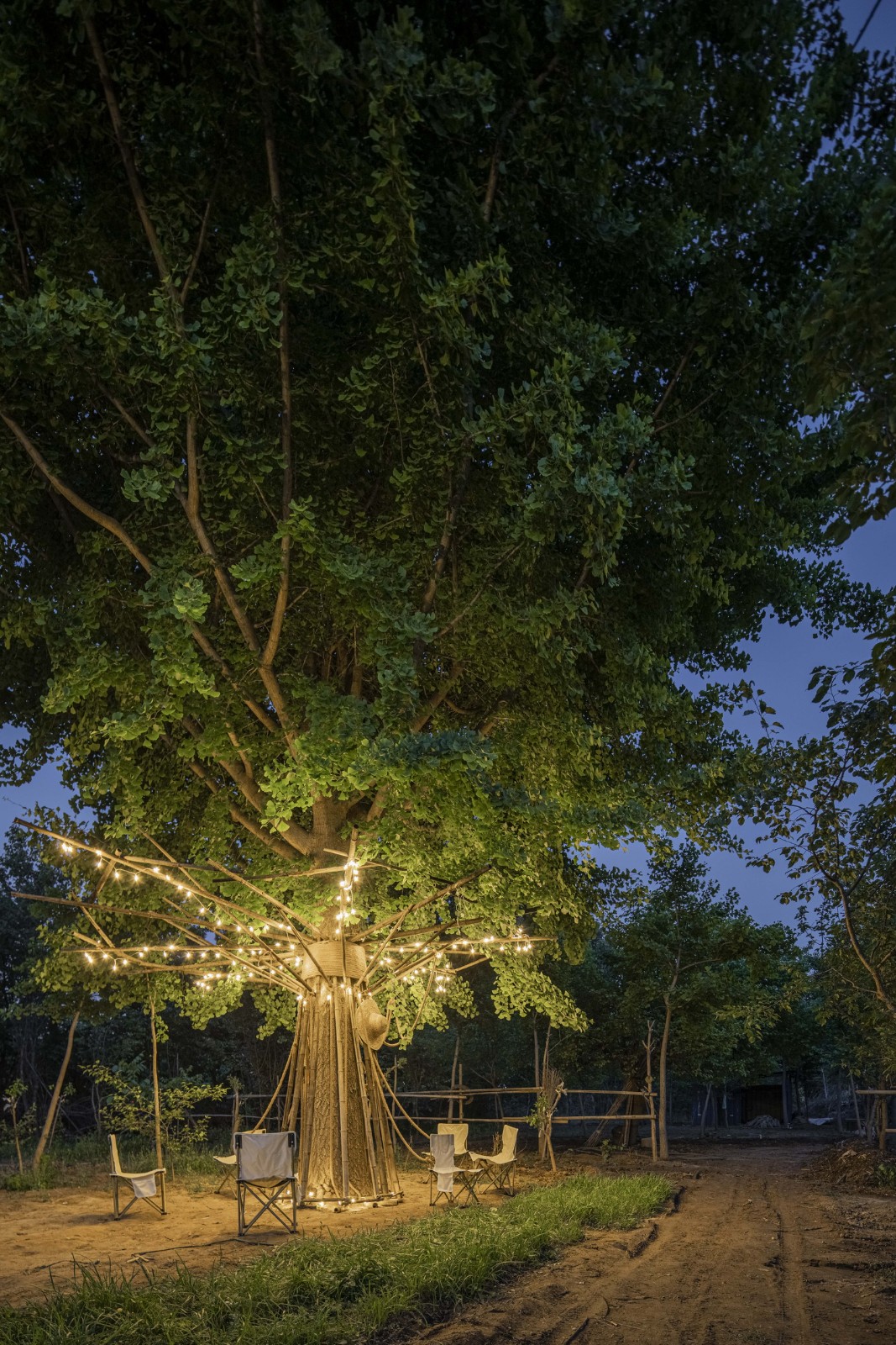 BIM建筑|拥抱可持续：竹装置 Tree of Life / UK Studio