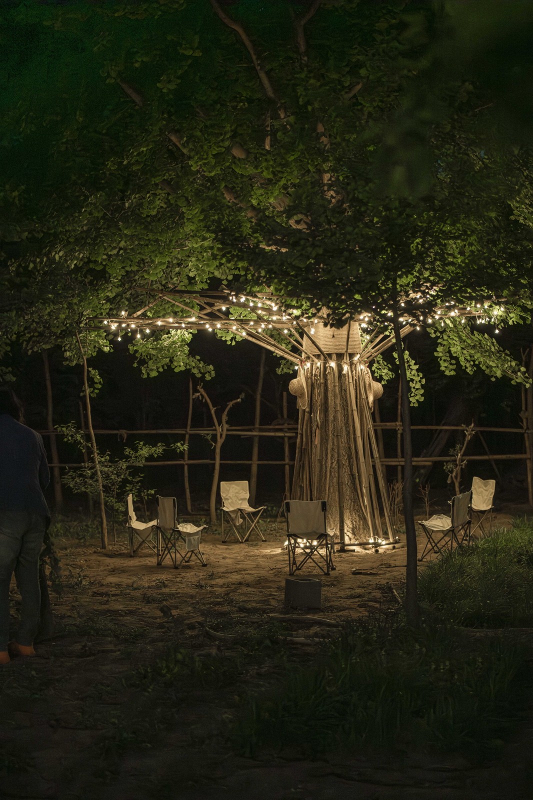 BIM建筑|拥抱可持续：竹装置 Tree of Life / UK Studio