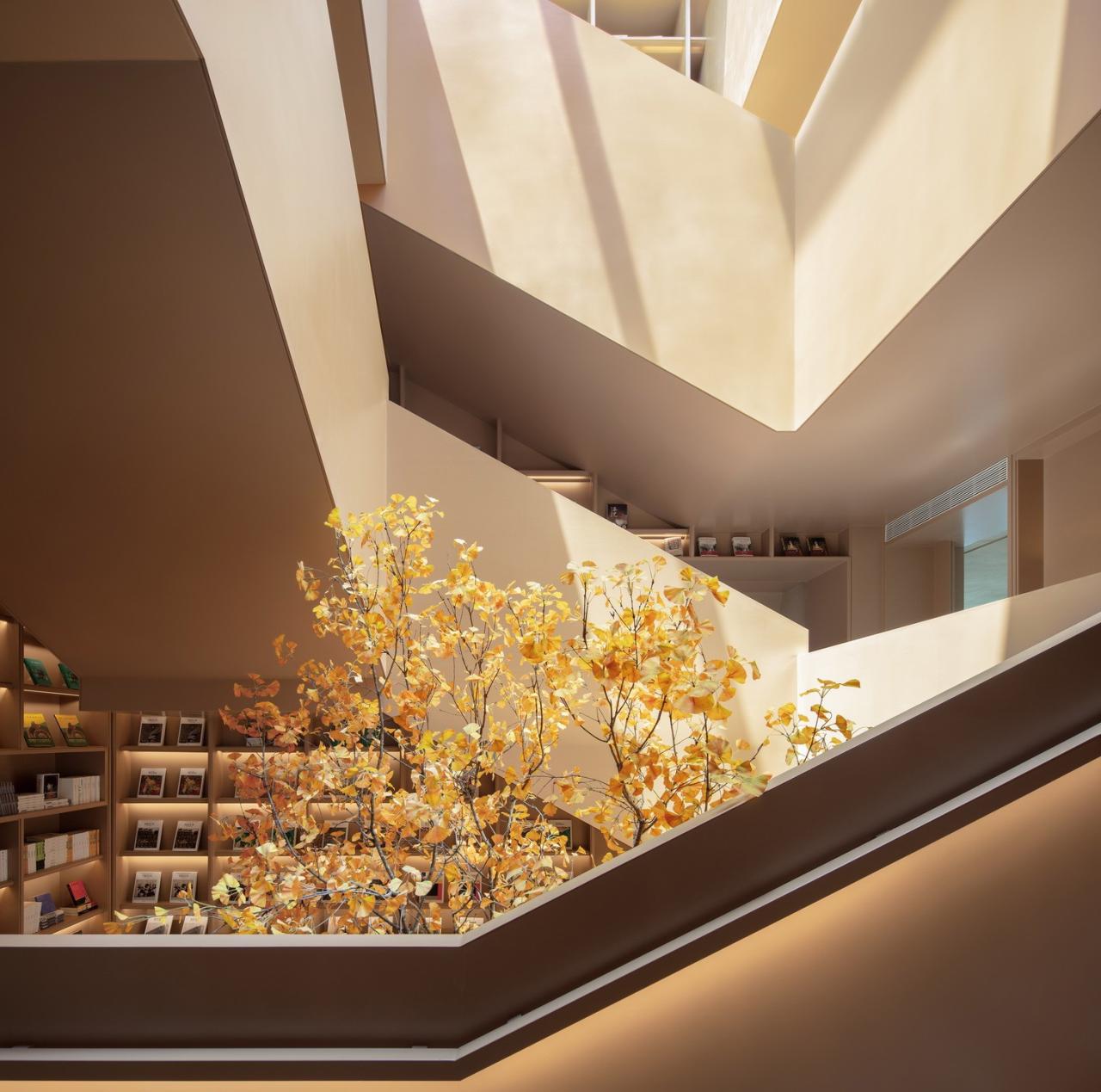 BIM建筑|光的中庭：泊心域社区邻里中心 / 孟凡浩-line+建筑事务所