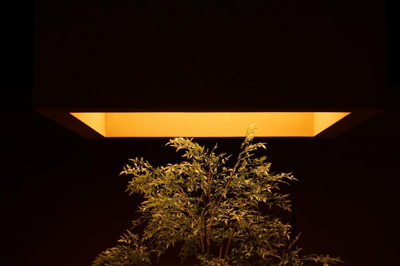 BIM建筑|内向理疗SPA，沈阳 / 素造建筑