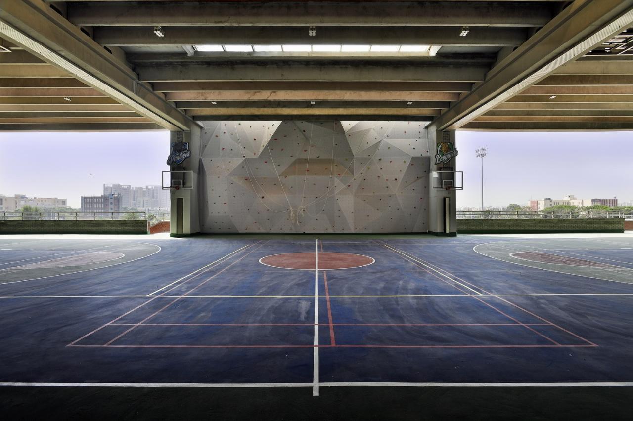 BIM建筑|Shiv Nadar 学校 / Stephane Paumier Architects