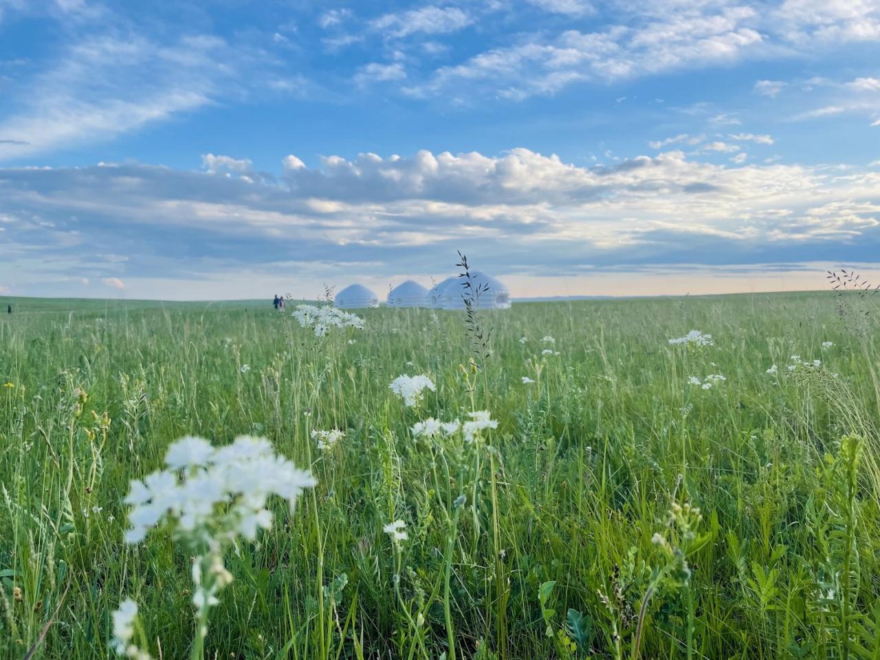 BIM建筑|充气蒙古包 Air Ger / 阁尔工作室
