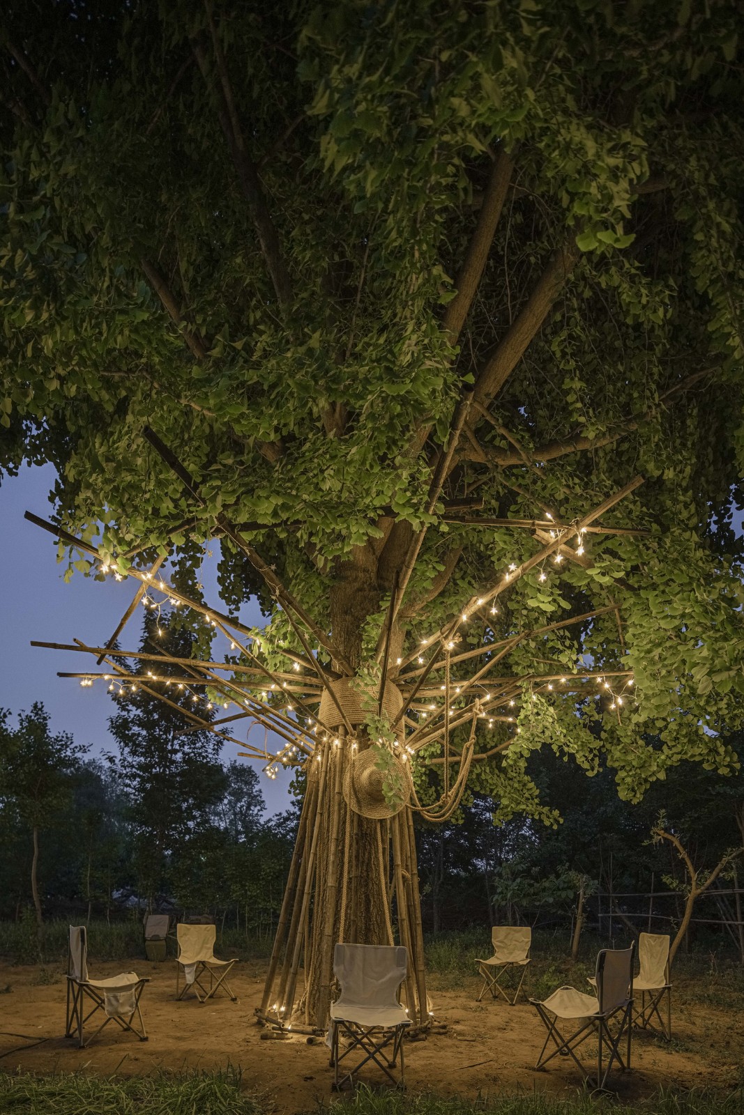 BIM建筑|拥抱可持续：竹装置 Tree of Life / UK Studio