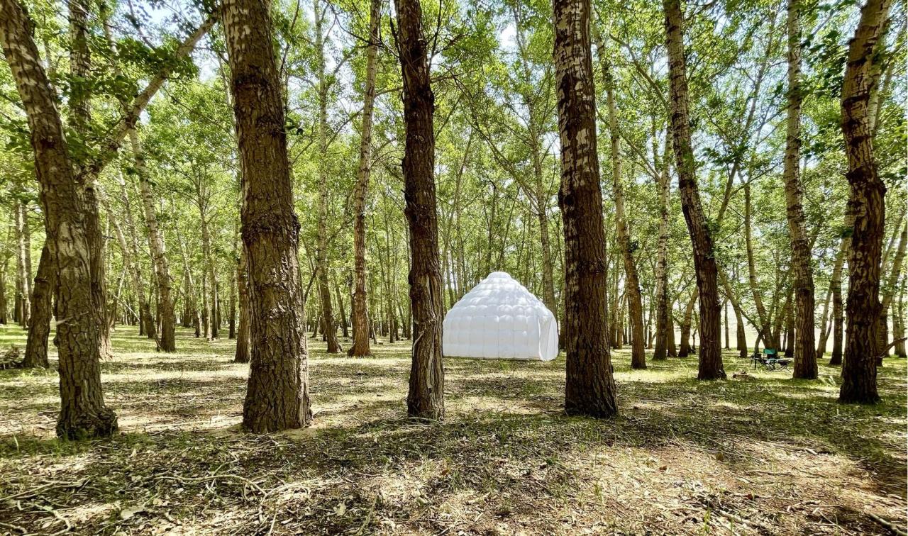 BIM建筑|充气蒙古包 Air Ger / 阁尔工作室