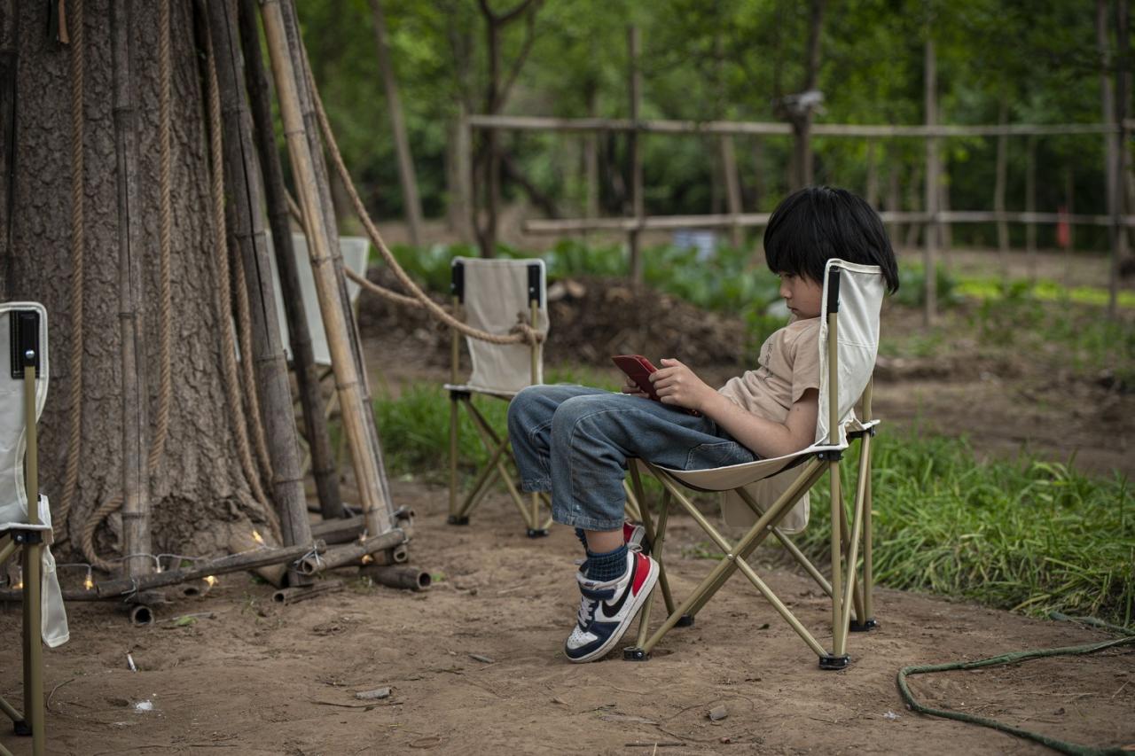 BIM建筑|拥抱可持续：竹装置 Tree of Life / UK Studio