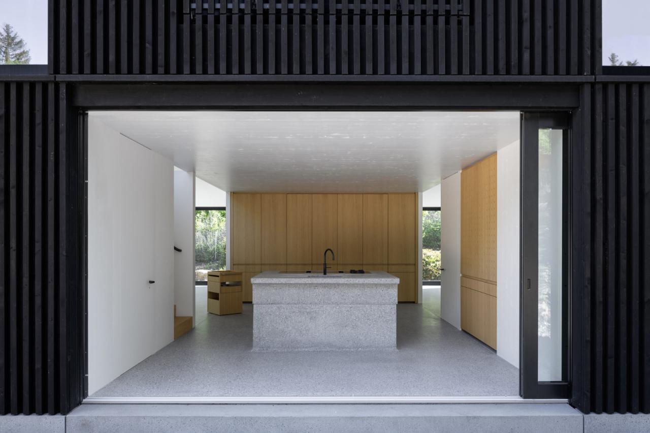 BIM建筑|木质立方体，湖边木屋 / Appels Architekten