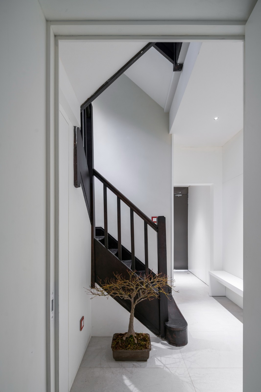 BIM建筑|微光之宅 / Wutopia Lab