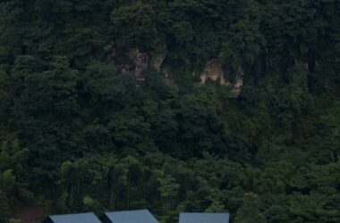 BIM建筑|大乐之野 · 重庆 · 四面山 / 空崆建筑-BIM建筑网