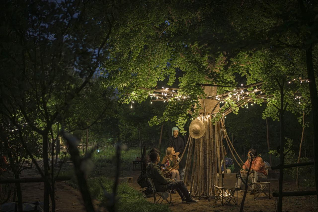 BIM建筑|拥抱可持续：竹装置 Tree of Life / UK Studio