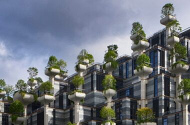 BIM建筑|我们必须比“1000棵树”做得更好-BIM建筑网