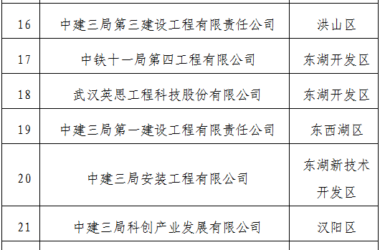 装配式政策|武汉市公示2023年智能建造试点企业、试点项目、试点园区（工厂）（第一批）-BIM建筑网