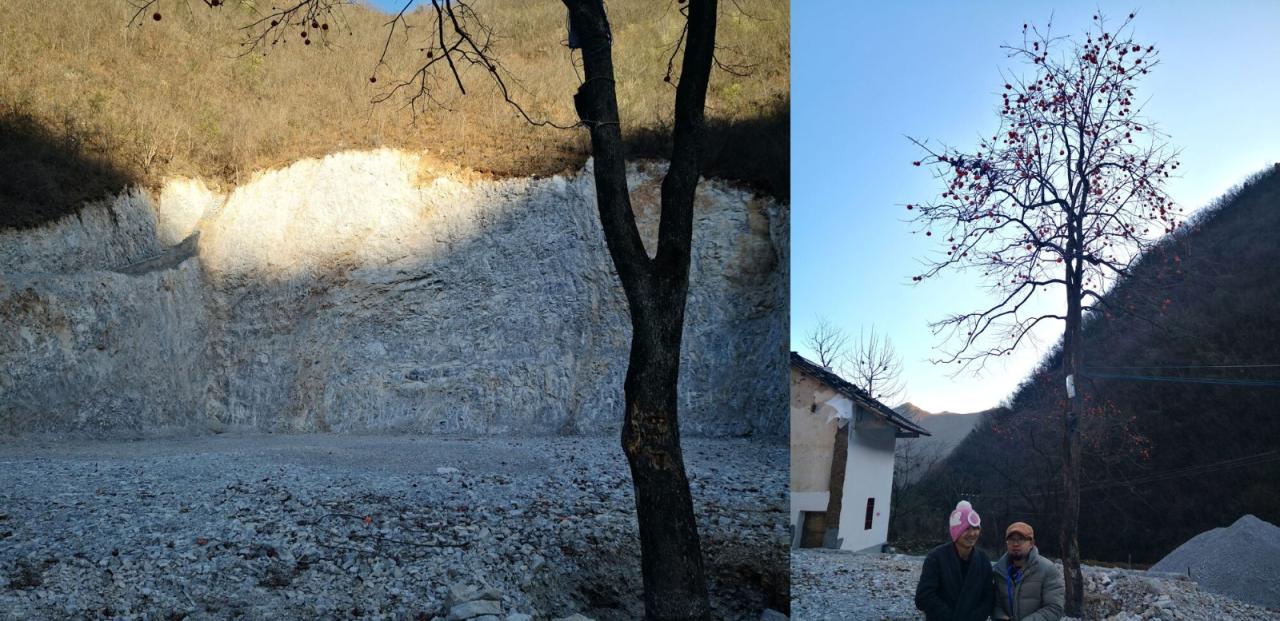 BIM建筑|崖之家 / 郦文曦建筑事务所