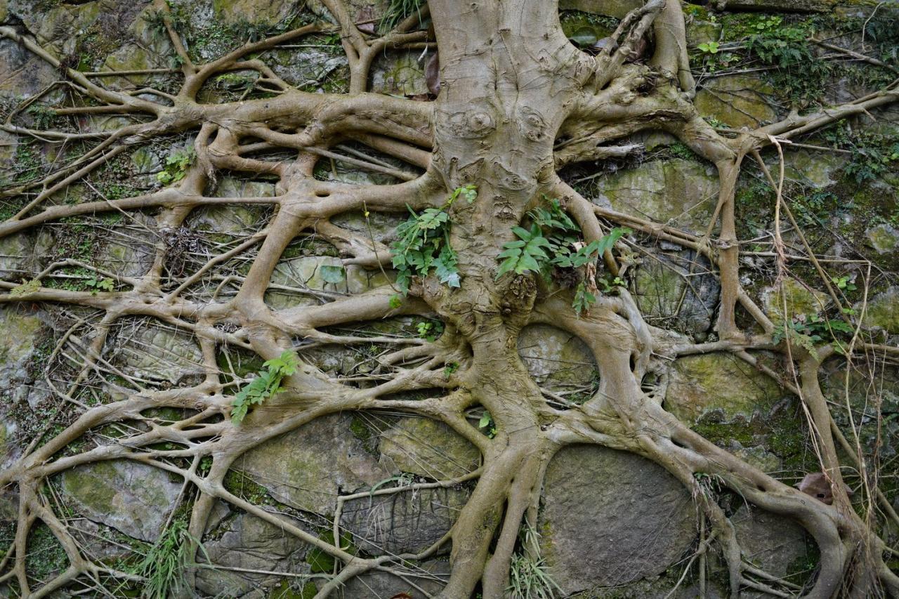 BIM建筑|瀑布下的诗意栖居:尧珈•瀑布村 /上海尧舜建筑设计有限公司