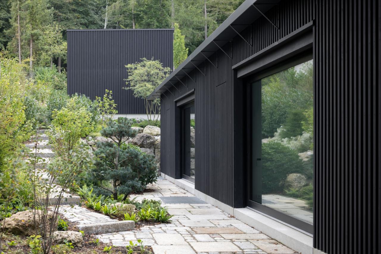 BIM建筑|木质立方体，湖边木屋 / Appels Architekten