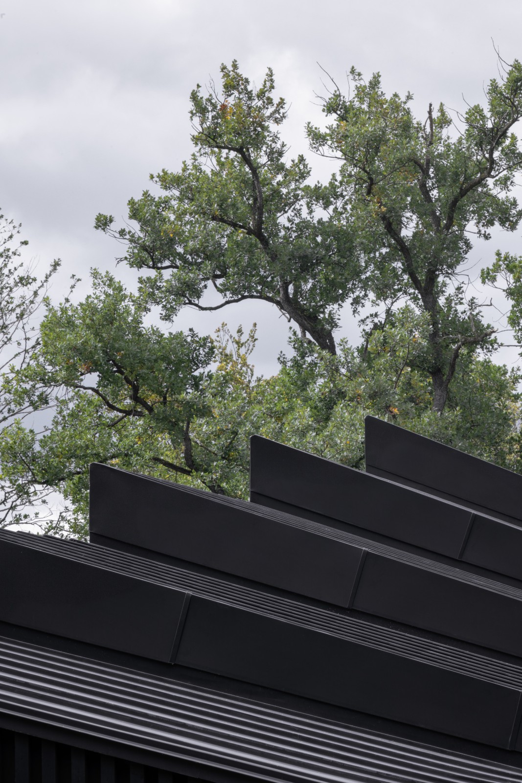 BIM建筑|木质立方体，湖边木屋 / Appels Architekten