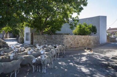 BIM建筑|诺加尔之家 / Raúl Almenara-BIM建筑网