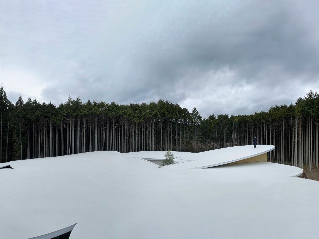 BIM建筑|儿童的森林托儿所 / 山下贵成建筑设计