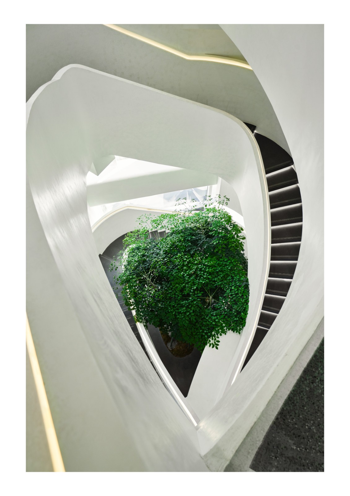 BIM建筑|成都天投国际社区当代艺术中心 / 上海境澜建筑设计有限公司