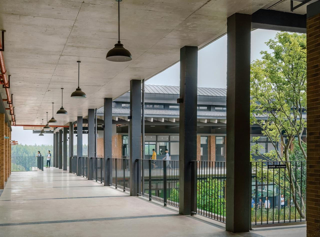 BIM建筑|乐知学校 / 大料建筑