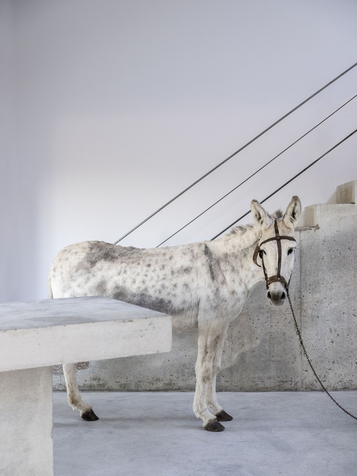 BIM建筑|诺加尔之家 / Raúl Almenara