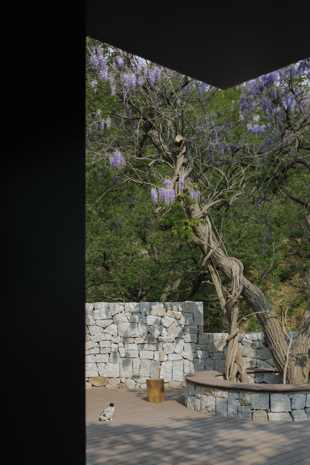 BIM建筑|沂蒙·书舍民宿：板栗树林下的自然再造与共生 / 灰空间建筑事务所