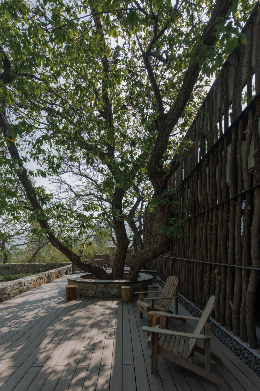 BIM建筑|沂蒙·书舍民宿：板栗树林下的自然再造与共生 / 灰空间建筑事务所