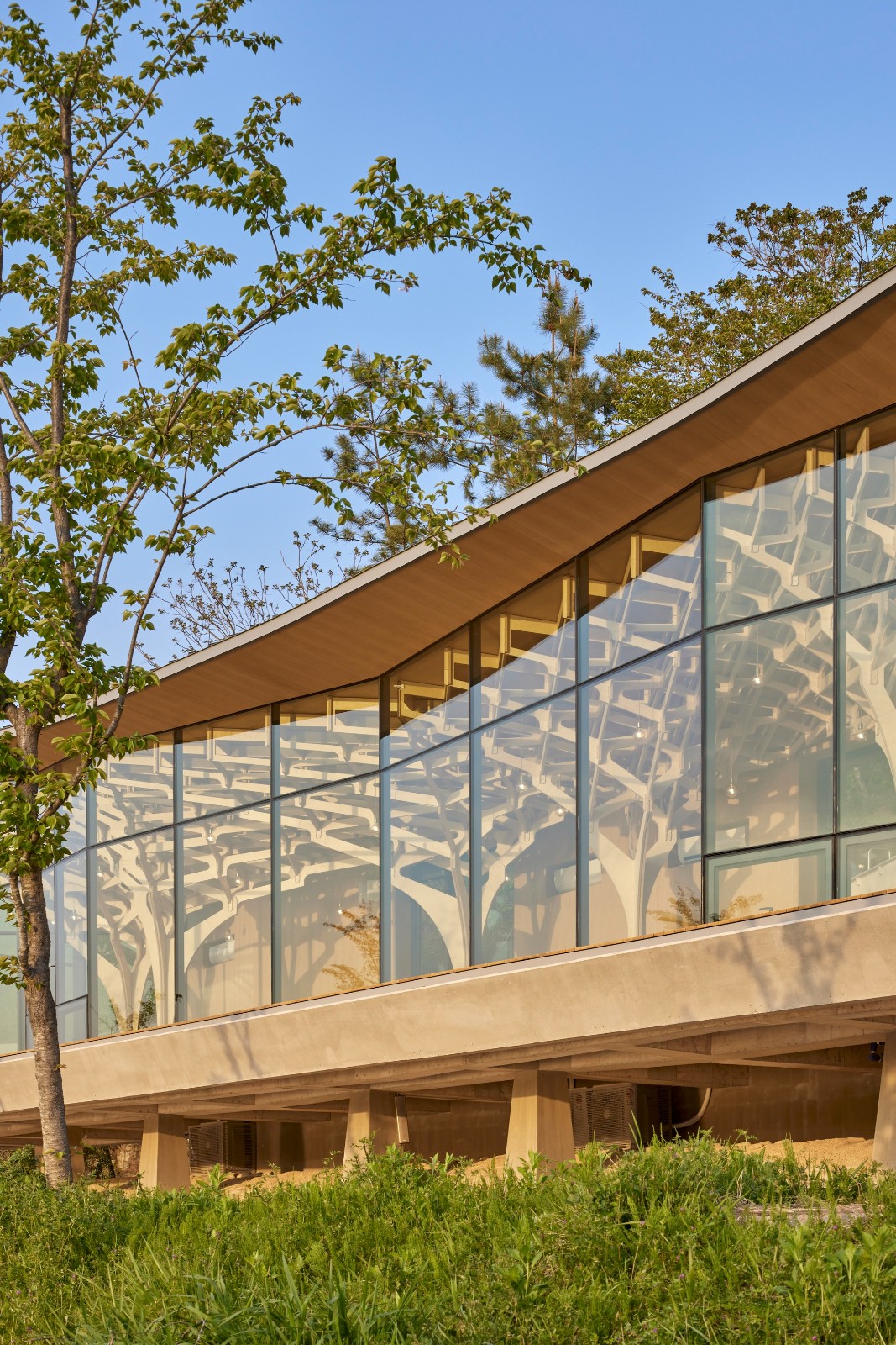 BIM建筑|浮光亭 / JK-AR