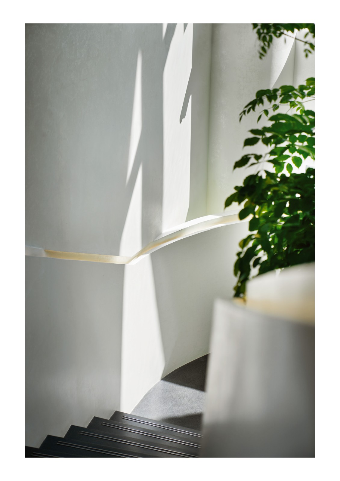 BIM建筑|成都天投国际社区当代艺术中心 / 上海境澜建筑设计有限公司