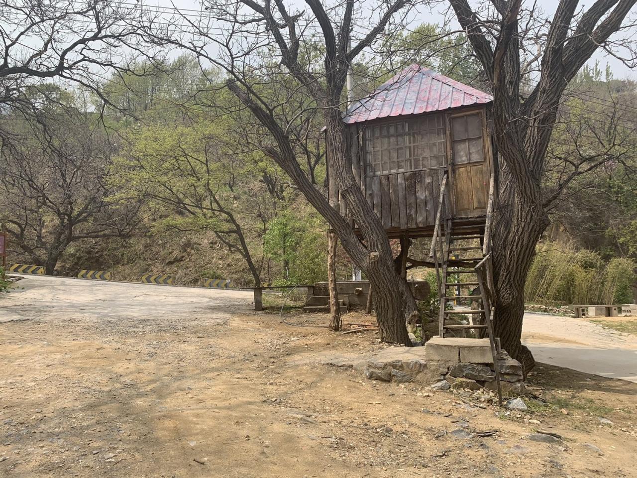 BIM建筑|沂蒙·书舍民宿：板栗树林下的自然再造与共生 / 灰空间建筑事务所