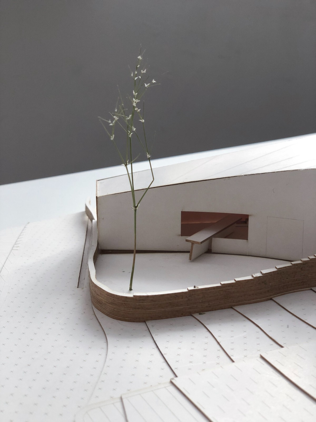 BIM建筑|诺加尔之家 / Raúl Almenara