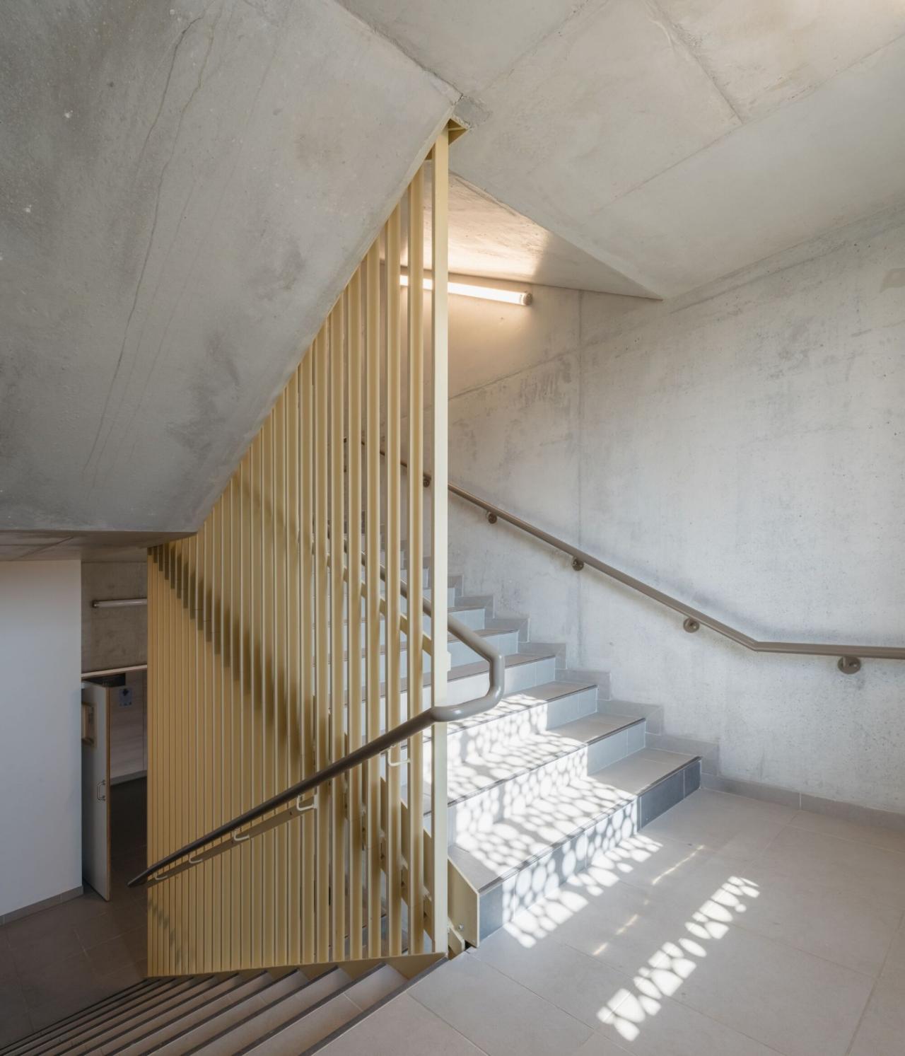 BIM建筑|瓦伦顿 Samuel-Paty 中学 / Archipente