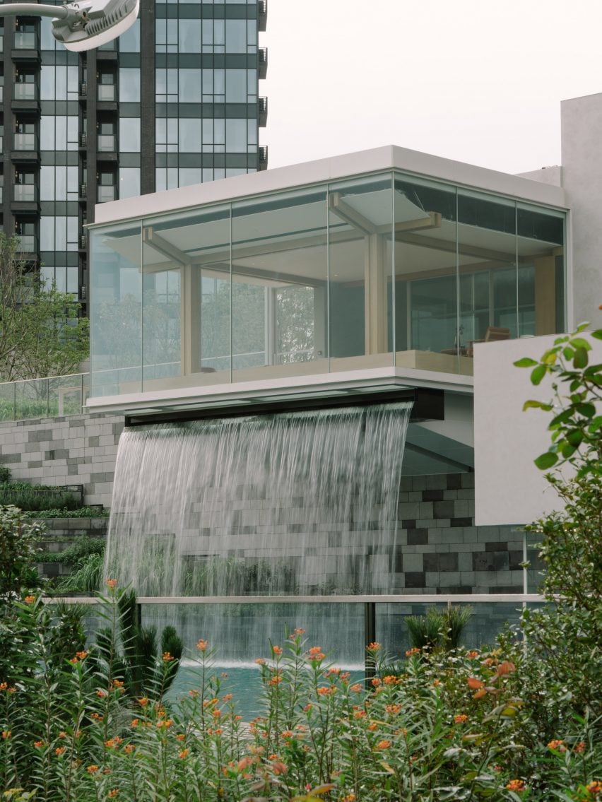 BIM建筑|斯诺赫塔在香港推出“绿肺”城市农场